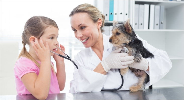 veterinarian holding small dog while letting girl use stethoscope