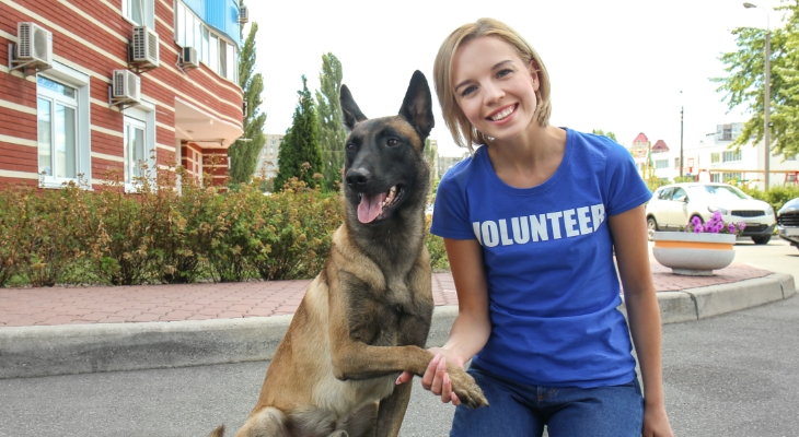 woman volunteering as pet rescue volunteer shaking paws with dog